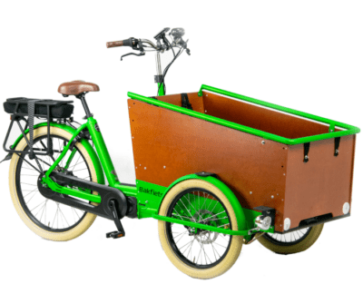 Bakfiets.nl CargoTrike Cruiser - snake groen