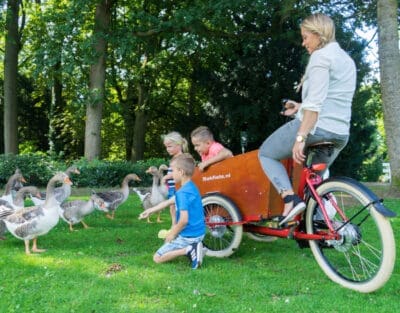 Bakfiets.nl CargoTrike Classic Elektrisch - Afbeelding 3