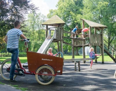 Bakfiets.nl CargoTrike Classic Elektrisch - Afbeelding 4