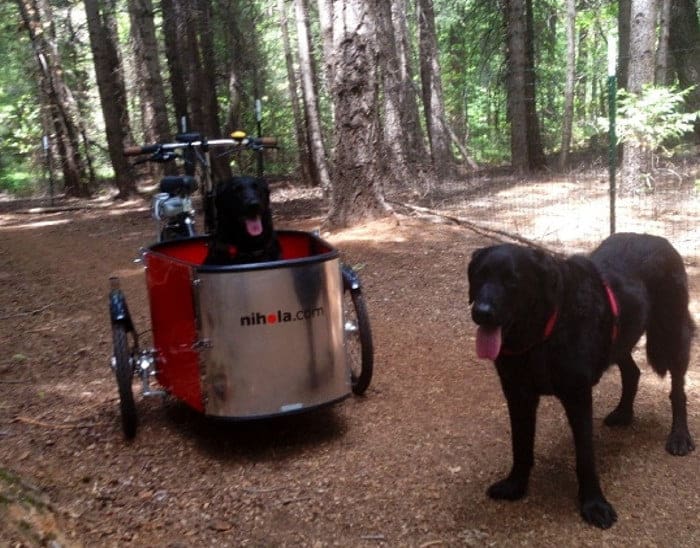 Bakfiets Nihola Dog - Afbeelding 5