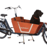 Hondenluik in zijkant Bakfiets.nl CargoBike