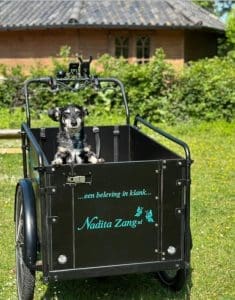 Bakfietsen speciaal voor de hond
