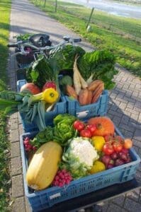 groente_bakfiets_kratjelokaal Gebruikers ervaring Pendix middenmotor