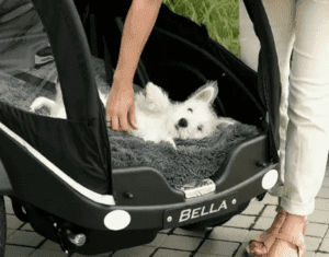 Winther Kangaroo Dog elektrisch