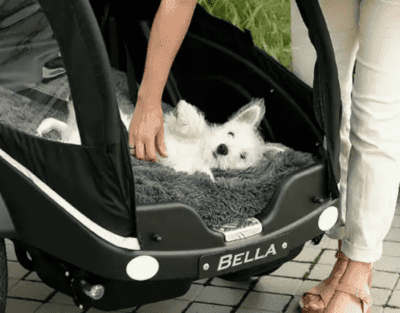 Winther Kangaroo Dog elektrisch