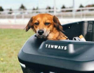 tenways_cargo_one_sfeer_5