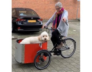 Nihola-bakfiets-met-hond-Bakfietscentrale