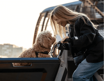 Stoer CargoX bakfiets - sfeer hond