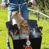 Bakfiets.nl sfeerfoto Klant