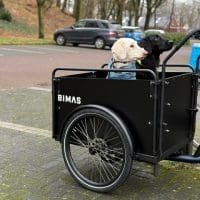 Bimas met twee honden (2)