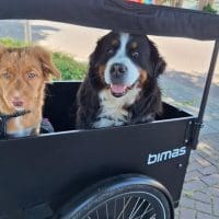 Sfeer foto Bimas Dog - tevreden klant