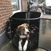 Cleo in de bak, Bakfietscentrale
