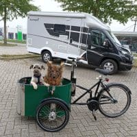 Honden in Nihola Dog Bakfiets