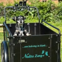 Nadita Alfering - Zang- Hond in Bimas bakfiets (12-07-2023)_3