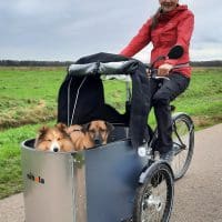 Nihola Dog bakfiets sfeerfoto