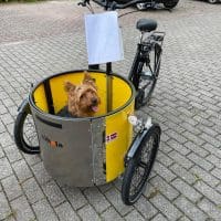 Nihola low Dog geel met hondje sfeer