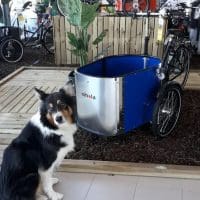 Nihola_Dog_Hond_Showroom_Blauw_Bakfietscentrale