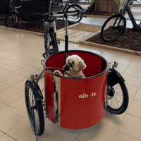 Sfeer Nihola Low - met hond