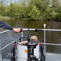 Nihola Bakfiets op veerboot Bakfietscentrale - Foto van klant