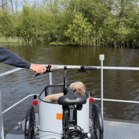 Nihola Bakfiets op veerboot Bakfietscentrale - Foto van klant