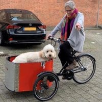 Nihola bakfiets met hond Bakfietscentrale