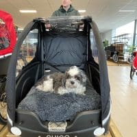 Winther Dog Sfeer foto Sam