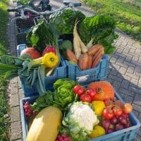 Tevreden klant Kratje Lokaal