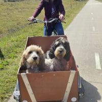 tevreden klant sfeer trike
